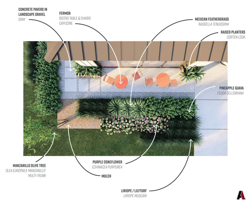 Top-view rendering of a patio garden with labeled plants: Mexican feathergrass, purple coneflower, pineapple guava, liriope and a Manzanillo olive tree, designed by A1 Design and Construction
