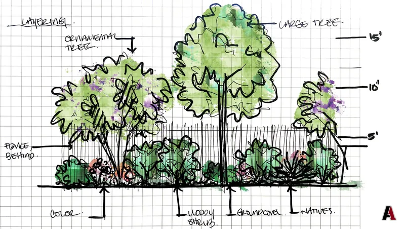 Hand-drawn watercolor elevation of layered planting: a large tree, an ornamental tree, woody shrubs, groundcover and native plants in front of a fence, designed by A1 Design and Construction